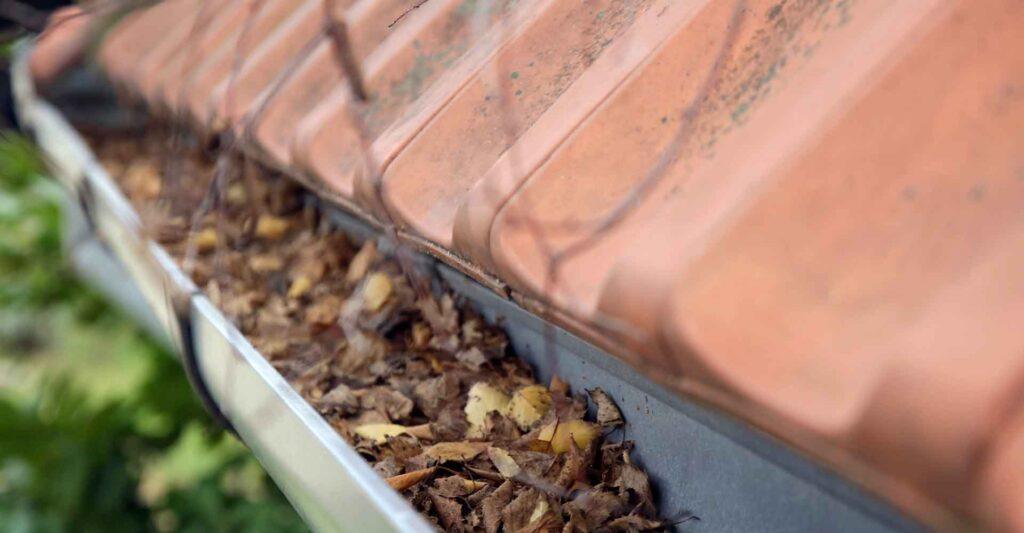 tagrenderens rens af tagrender